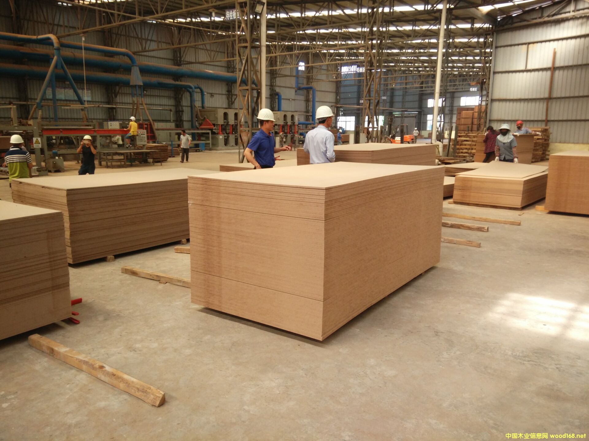 ܶȰL(zhng)ڹ(yng)Ԕ(x)B