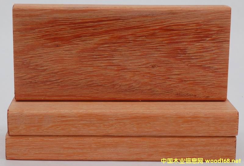 門格的詳細(xì)介紹