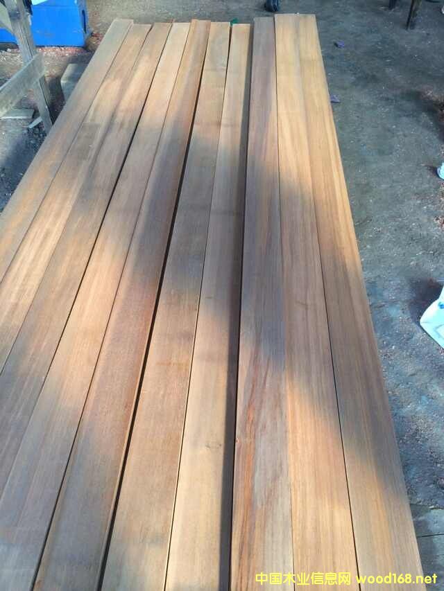 巴勞木的詳細(xì)介紹