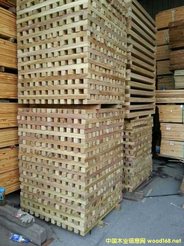 八果木的詳細(xì)介紹