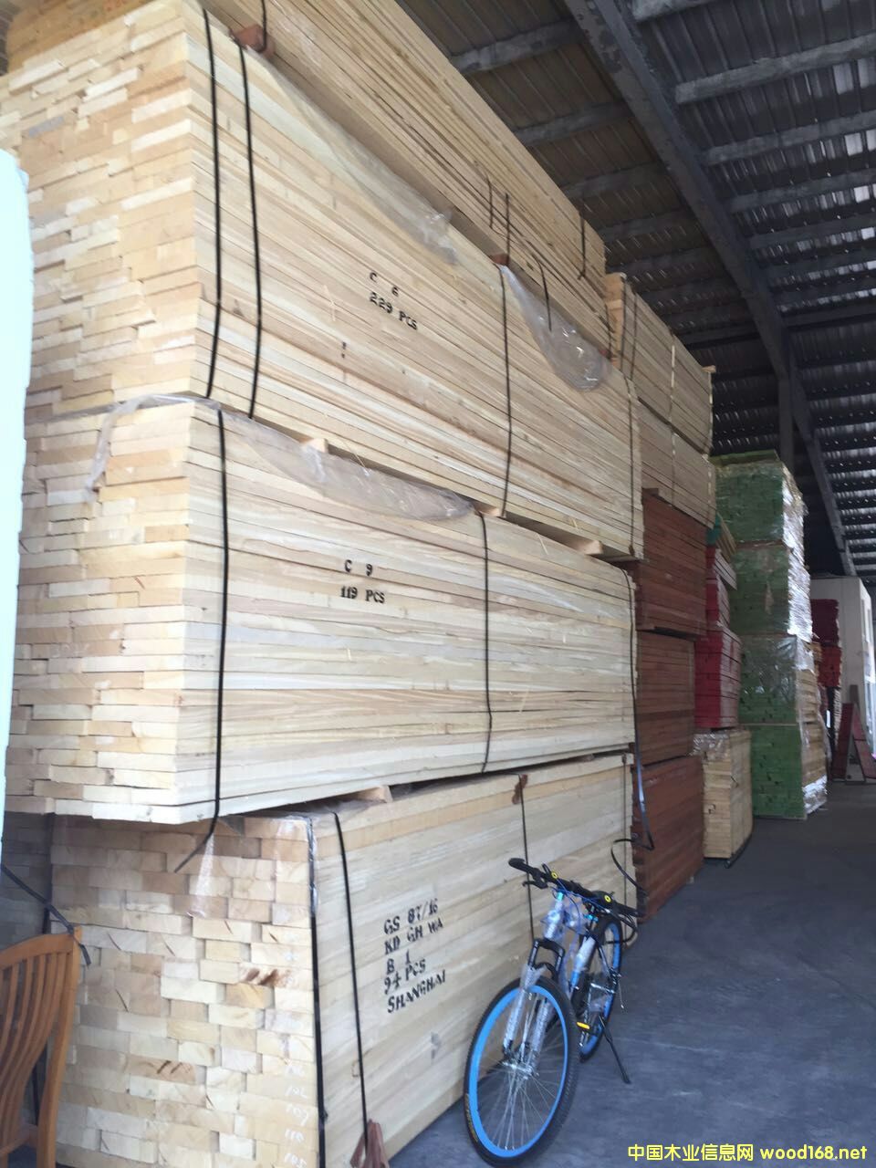 非洲白木的詳細(xì)介紹