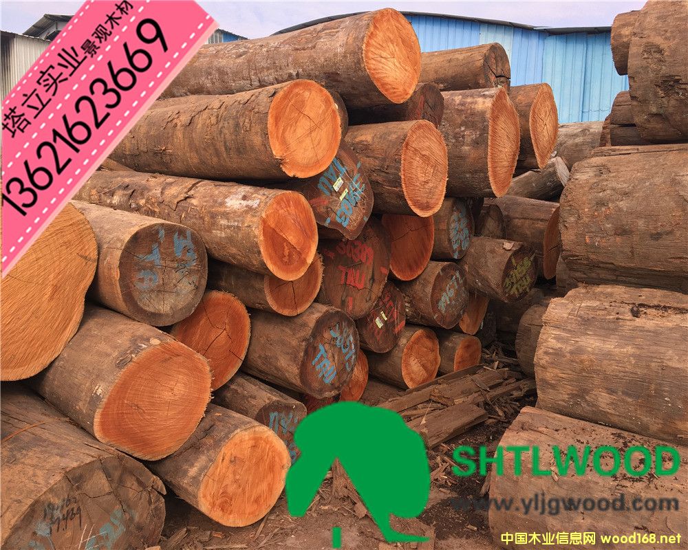 ̈́ľtľt񡢰͵ľľyľڂľ