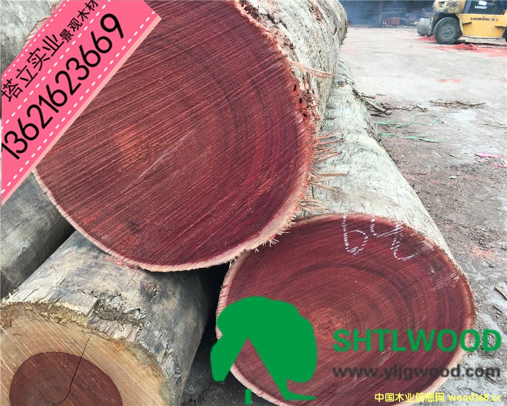 c(din)鿴tľẗ́ڶŴDƬ