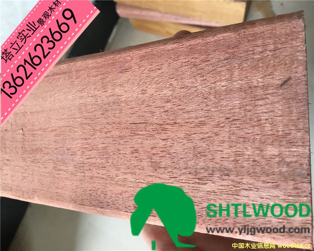 c(din)鿴ľR@ֹŽذϷŴDƬ