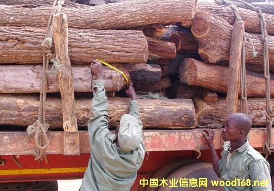 Īɣȿľĳ΄(sh)c(dng)B(ti)