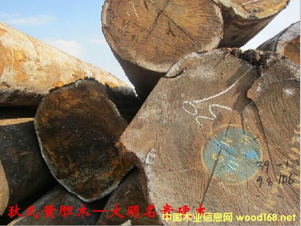 ľĘNԔ--Sđľ  ׷Q: ͵ľӼ{̴