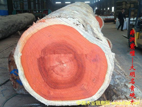 ľĘNԔ--̴  ׷Q޼tB̴