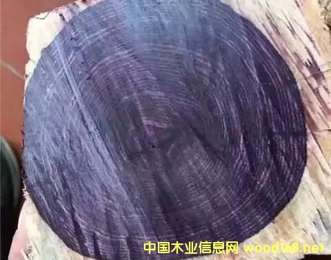 ِS̴:һNð亣Sľ,ƶ_(d)90%