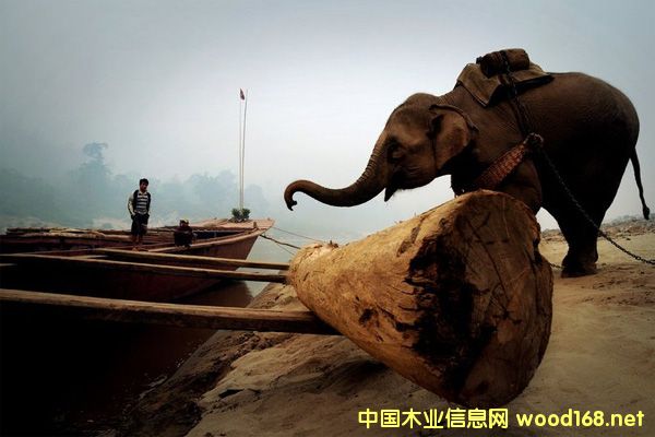 |ρtľMyȶһyƝqҾ