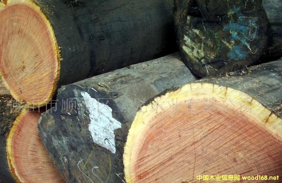 ʰ 𲻓Q ˹(ʰͶkempas)r