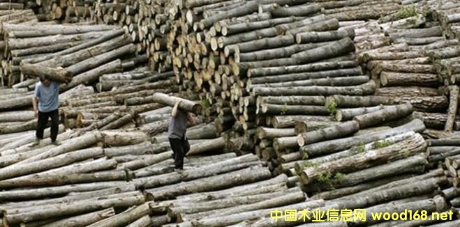 ɰԽȫĲ~_(d)66| A