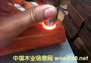 tľDNAzy(sh)F(xin)op?zhn)? border=