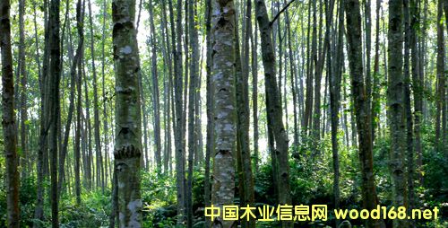 Ϙ壺ľĹoȫ M(jn)a(chn)I(y)D(zhun)(j)