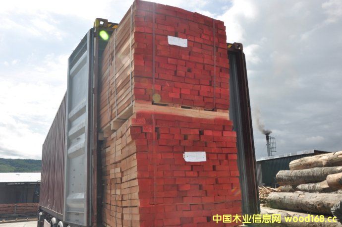 _R၆ľЈ(chng)5%ٶL(zhng)