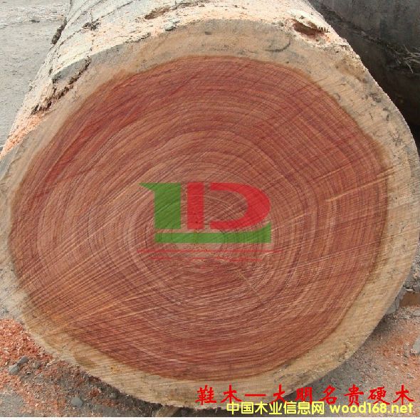 ľĘNԔ--Ьľ  ׷QtõõRľtľ