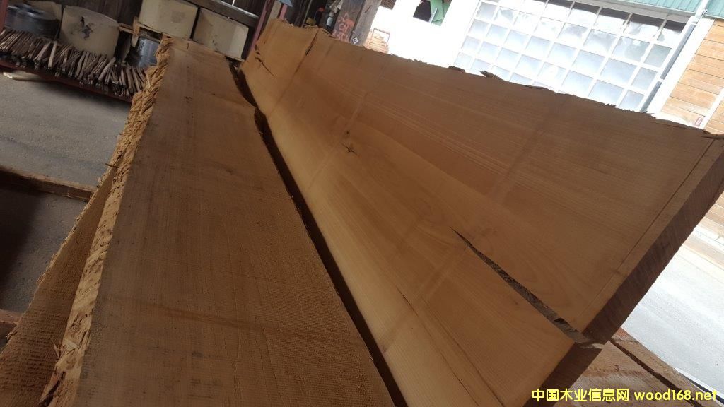 櫸木板材的詳細(xì)介紹