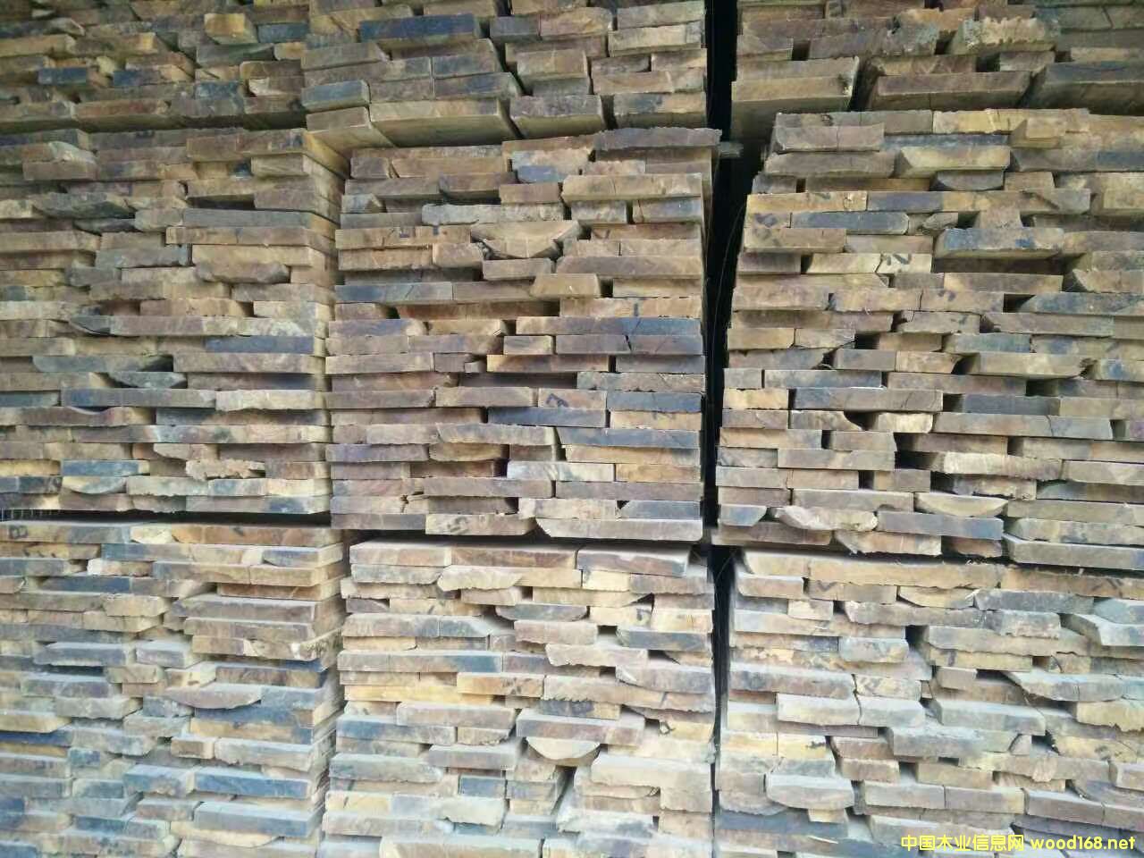 緬甸桃木的詳細(xì)介紹