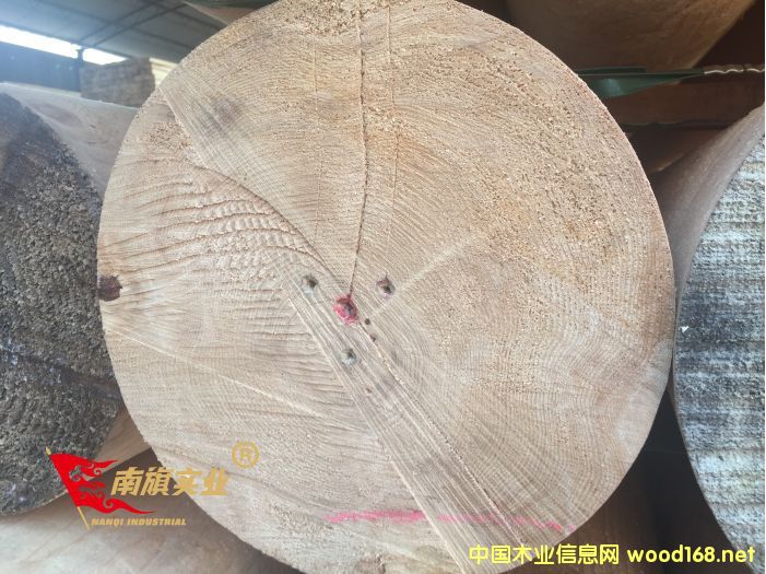 FɼľS ̫}FɼŽľl(f)