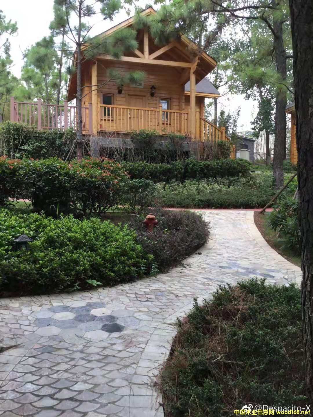 pľY(ji)(gu)ľ  ľݏS