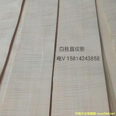 (yu)|(zh)Ȼ˨ֱyӰľƤ