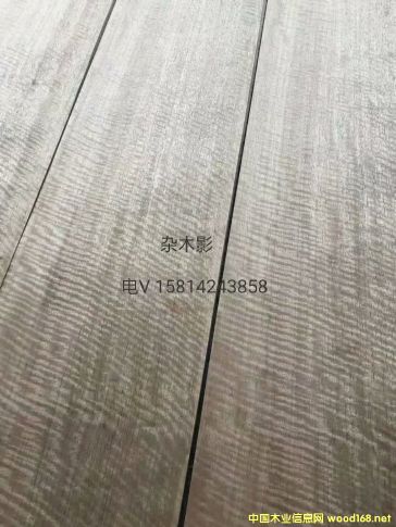 (yu)|(zh)ȻsľӰľƤ