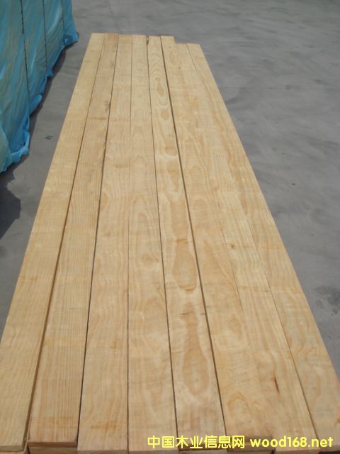 panpacoYy(tng)䏼ԔB