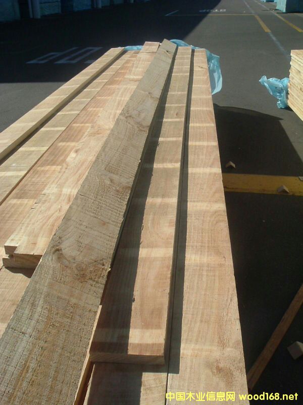 panpacoYy(tng)䏼ԔB