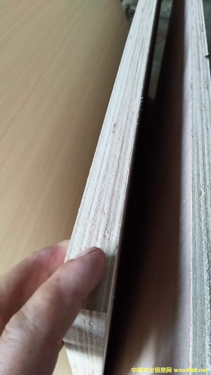 膠合板 的詳細(xì)介紹