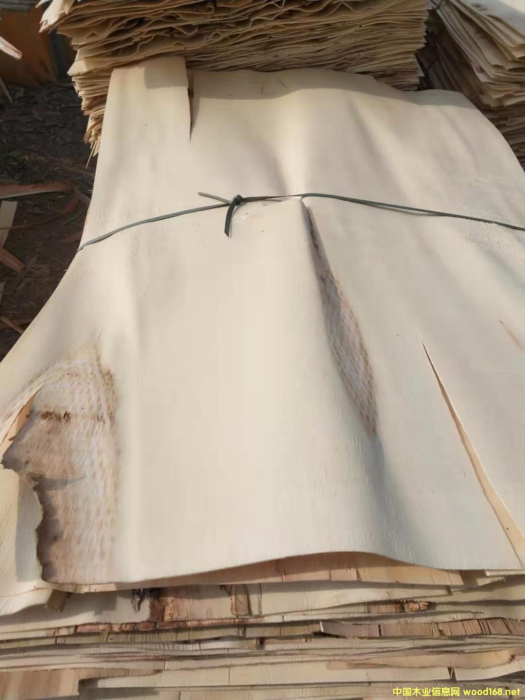 楊木皮的詳細(xì)介紹