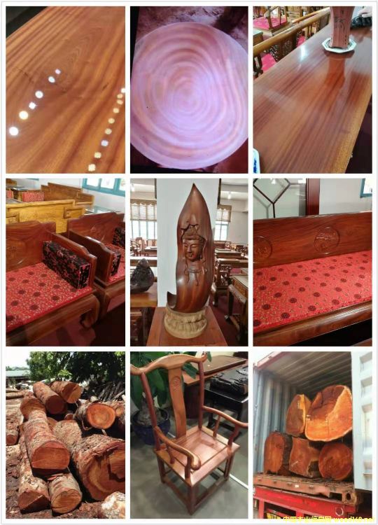 [] (yng)鬣khaya),ľһоľһ