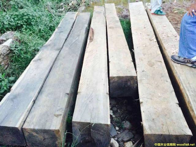 [] ϚgACACIAԭľM˼ľԭľ̻ľľ