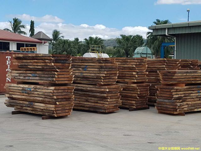 [] (yng)M(jn)˼ľACACIAľϚgľ