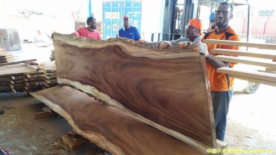 [] (yng)M(jn)˼ľACACIAľϚgľ˼ľ