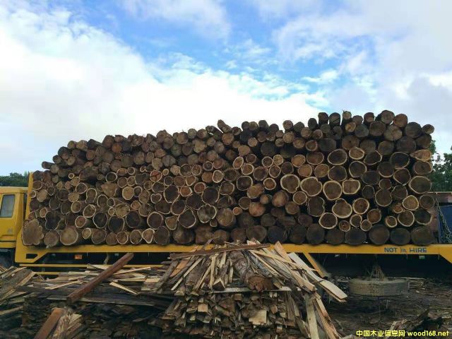 [] Mڴ~˼ľACACIA˼ľԭľ