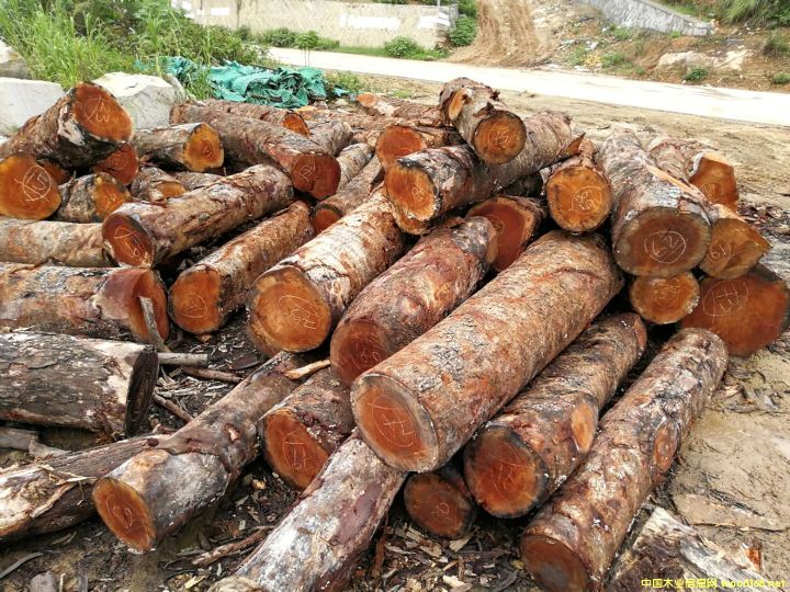 [] (yng)鬣khaya),ľһоľһ