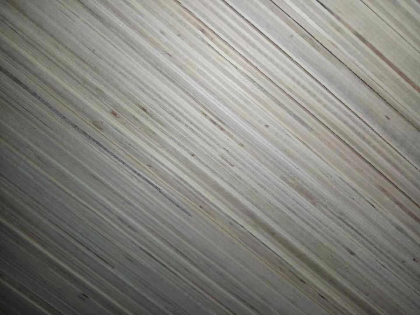 的詳細(xì)介紹