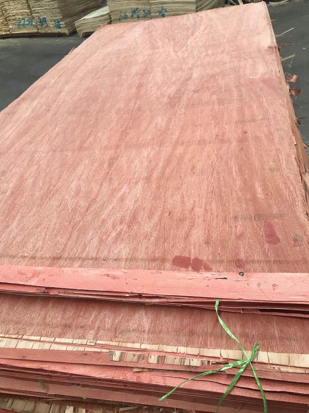 的詳細(xì)介紹