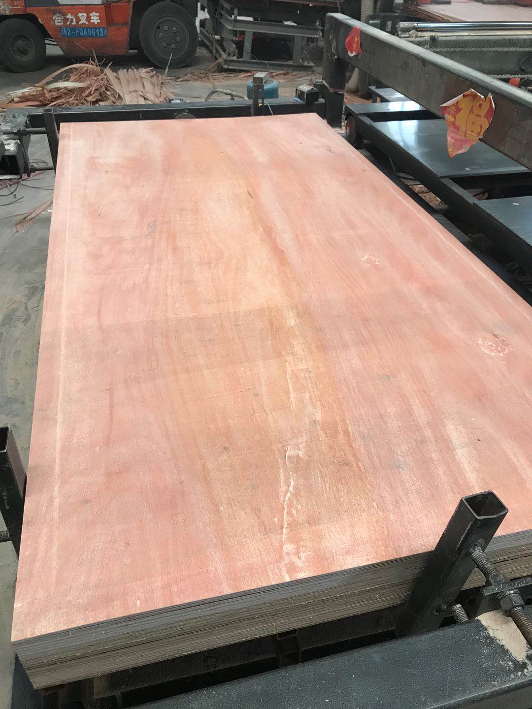 的詳細(xì)介紹