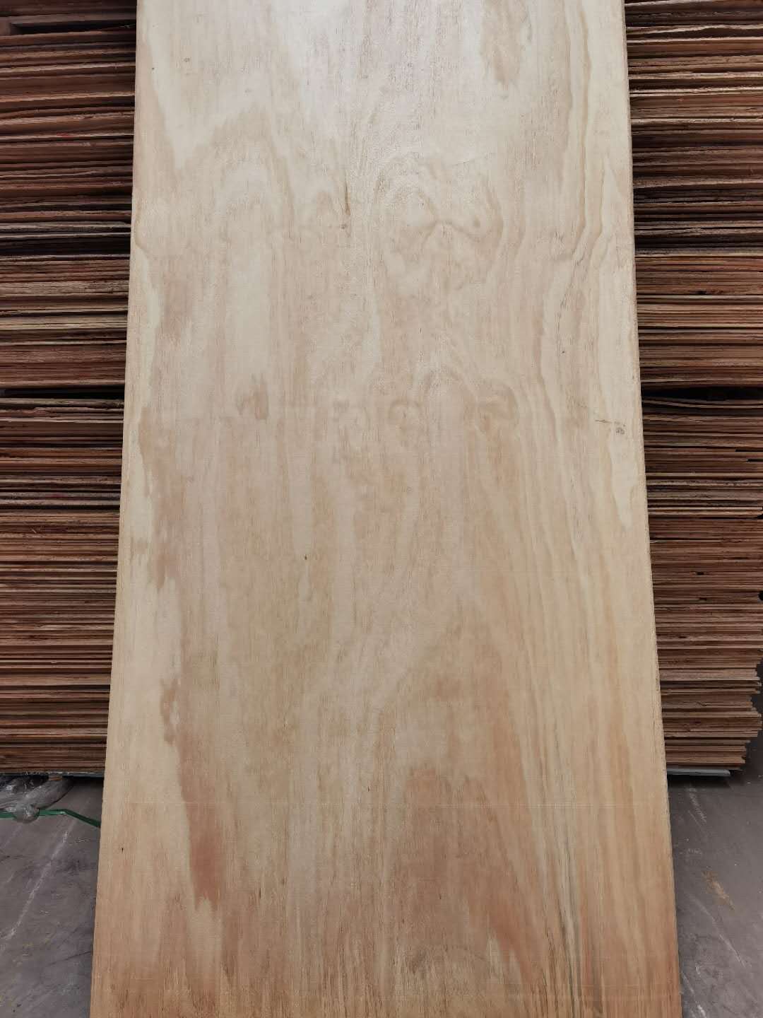 的詳細(xì)介紹