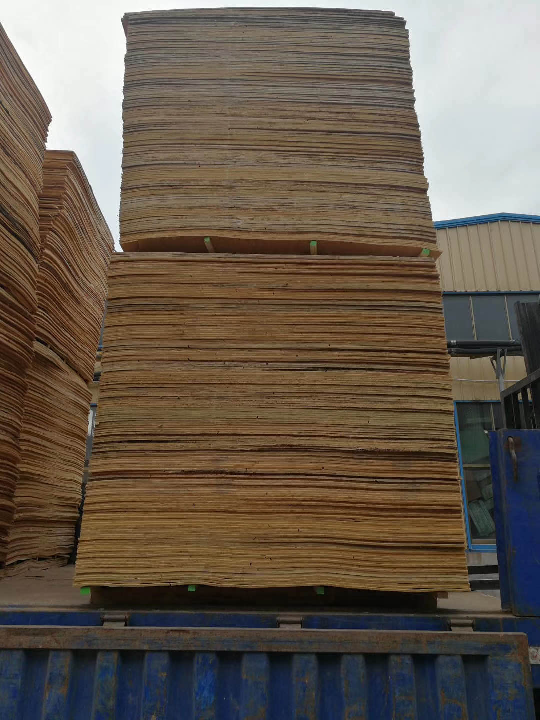 的詳細(xì)介紹