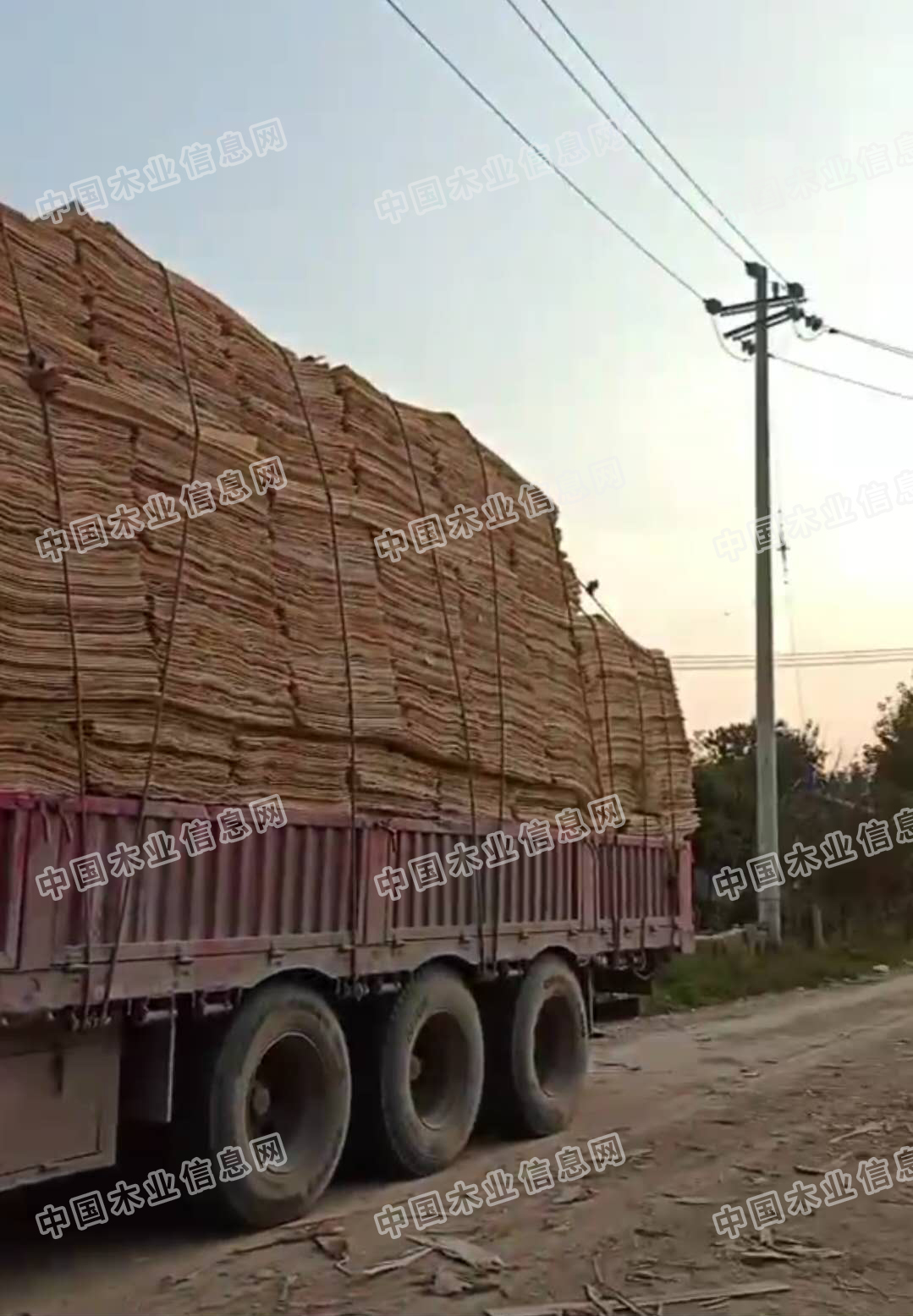 的詳細(xì)介紹