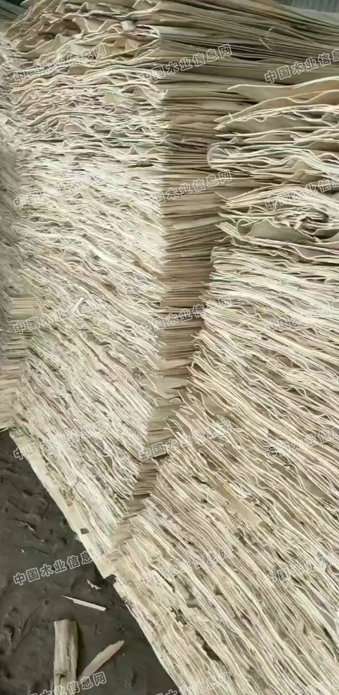 的詳細(xì)介紹