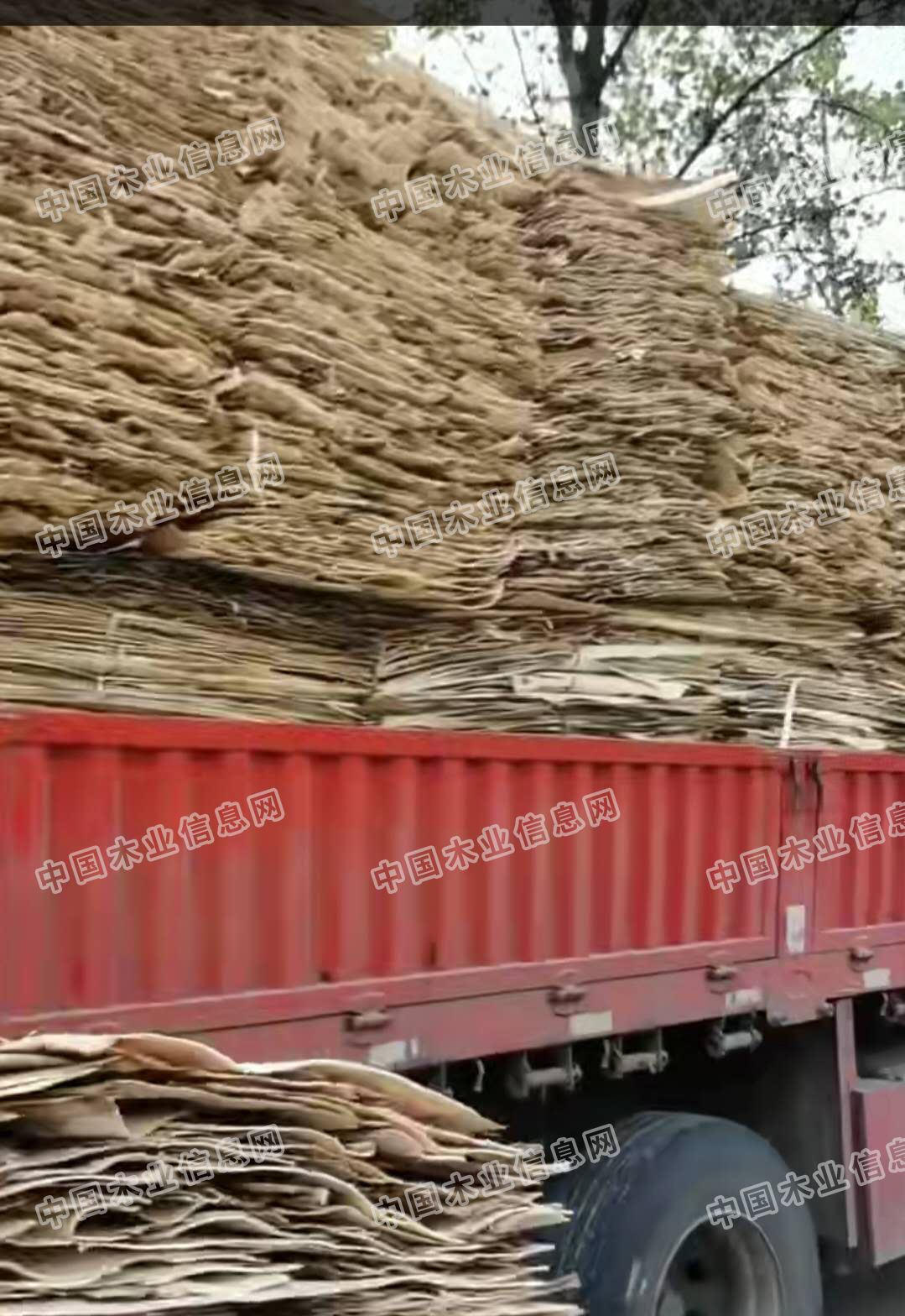 的詳細(xì)介紹