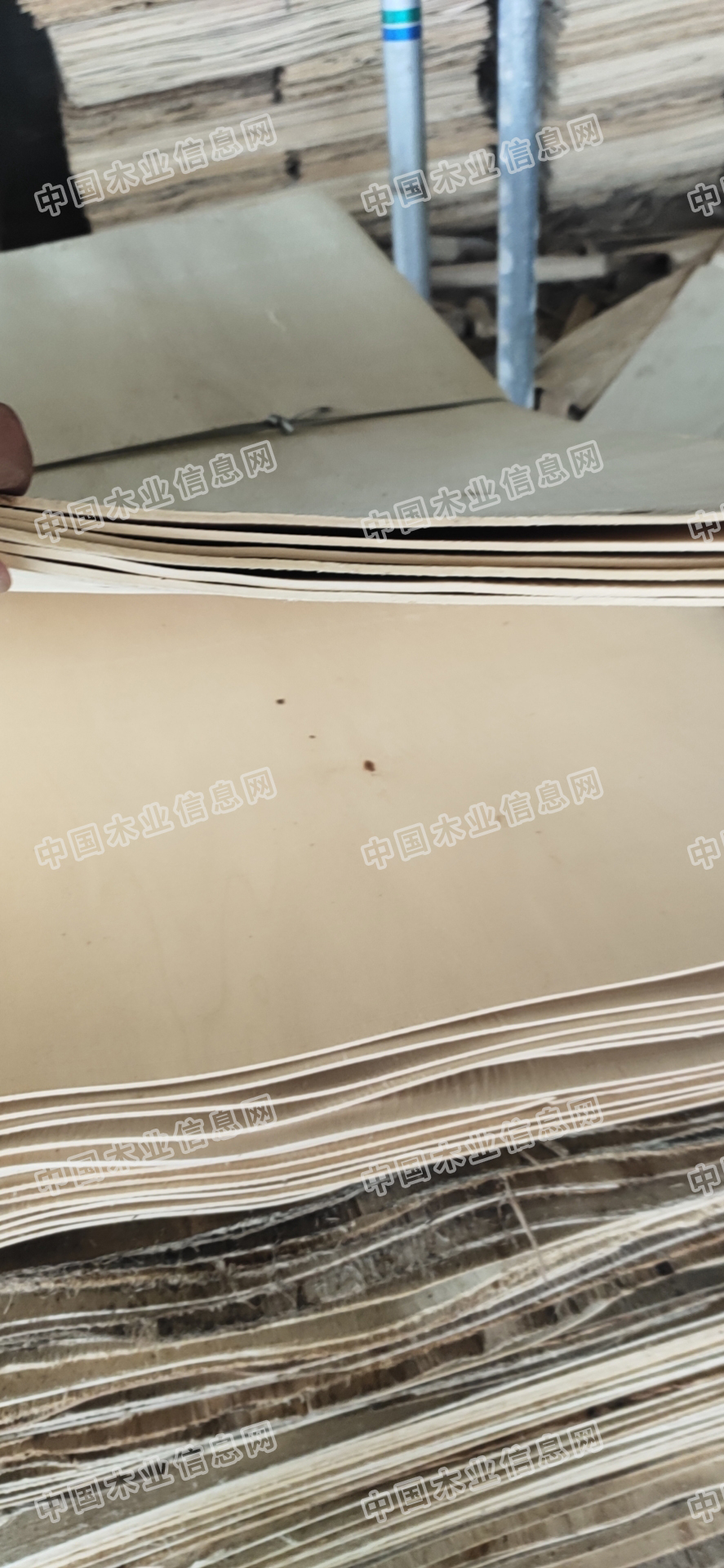 的詳細(xì)介紹