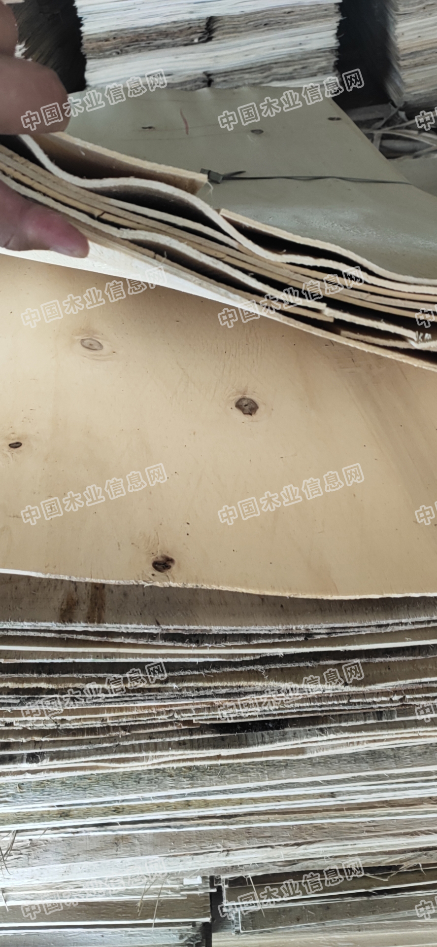 的詳細(xì)介紹