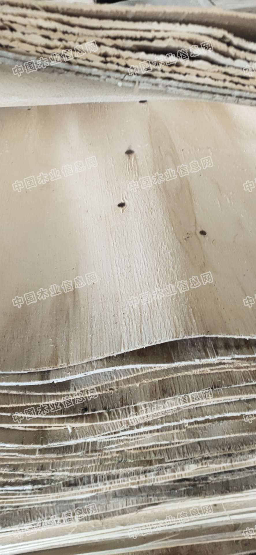 的詳細(xì)介紹