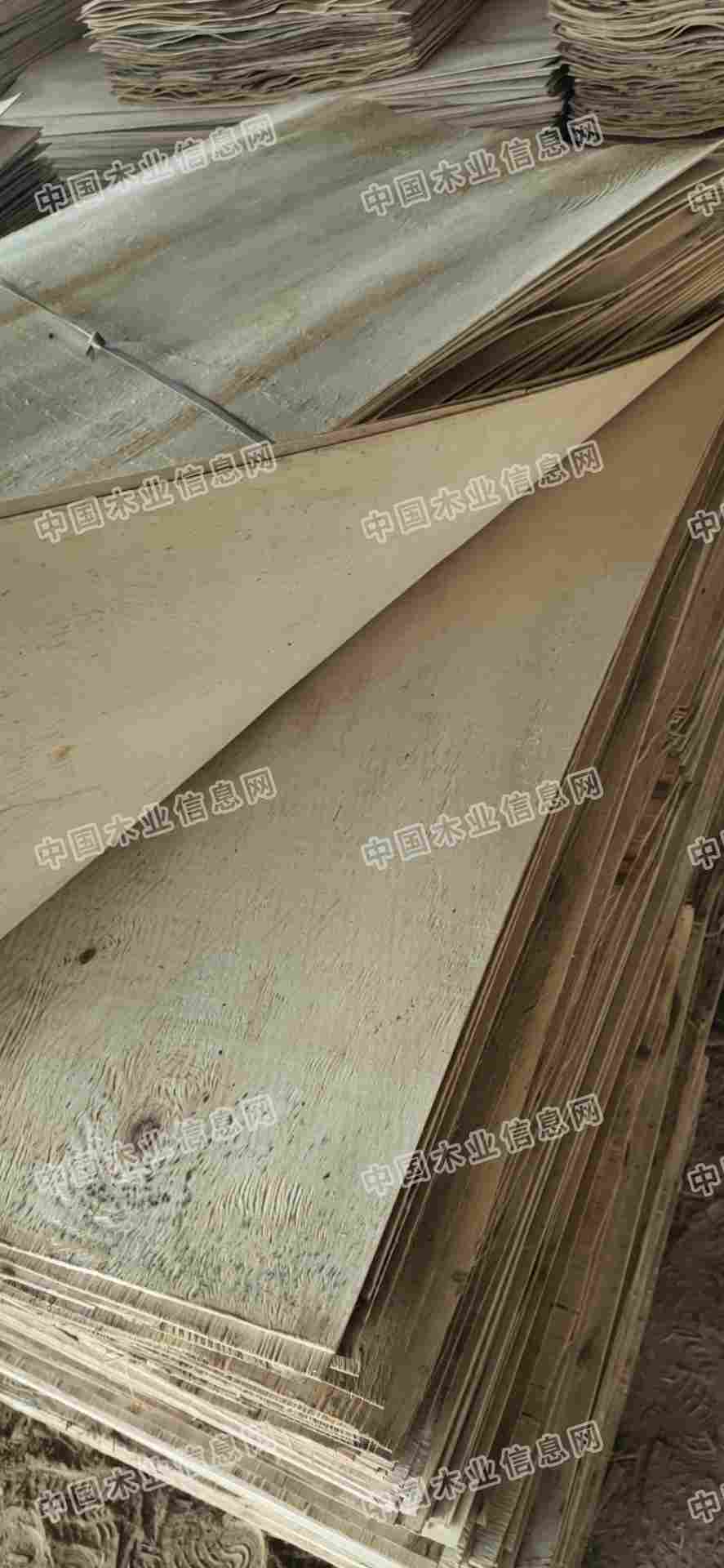 的詳細(xì)介紹