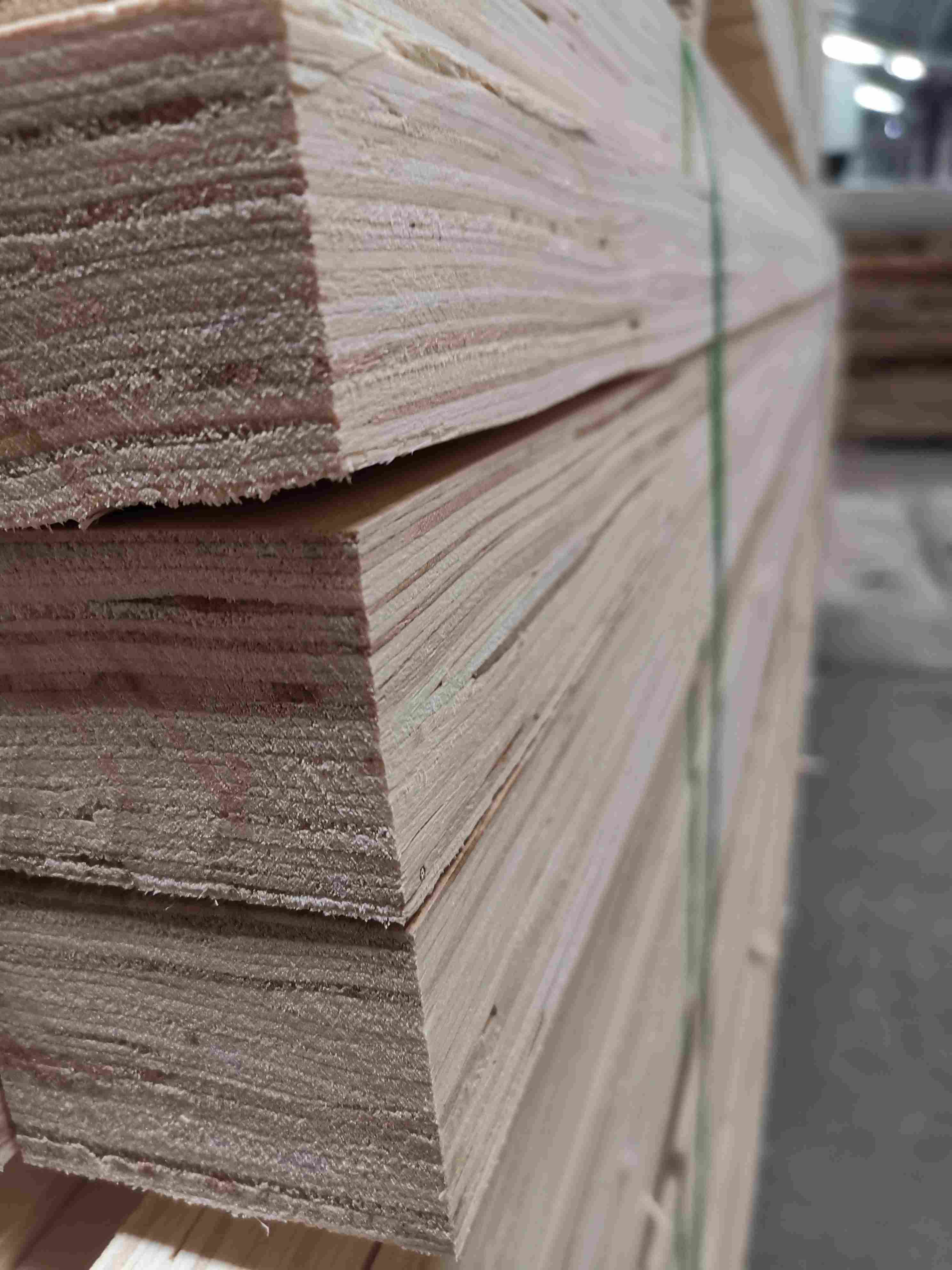 的詳細(xì)介紹