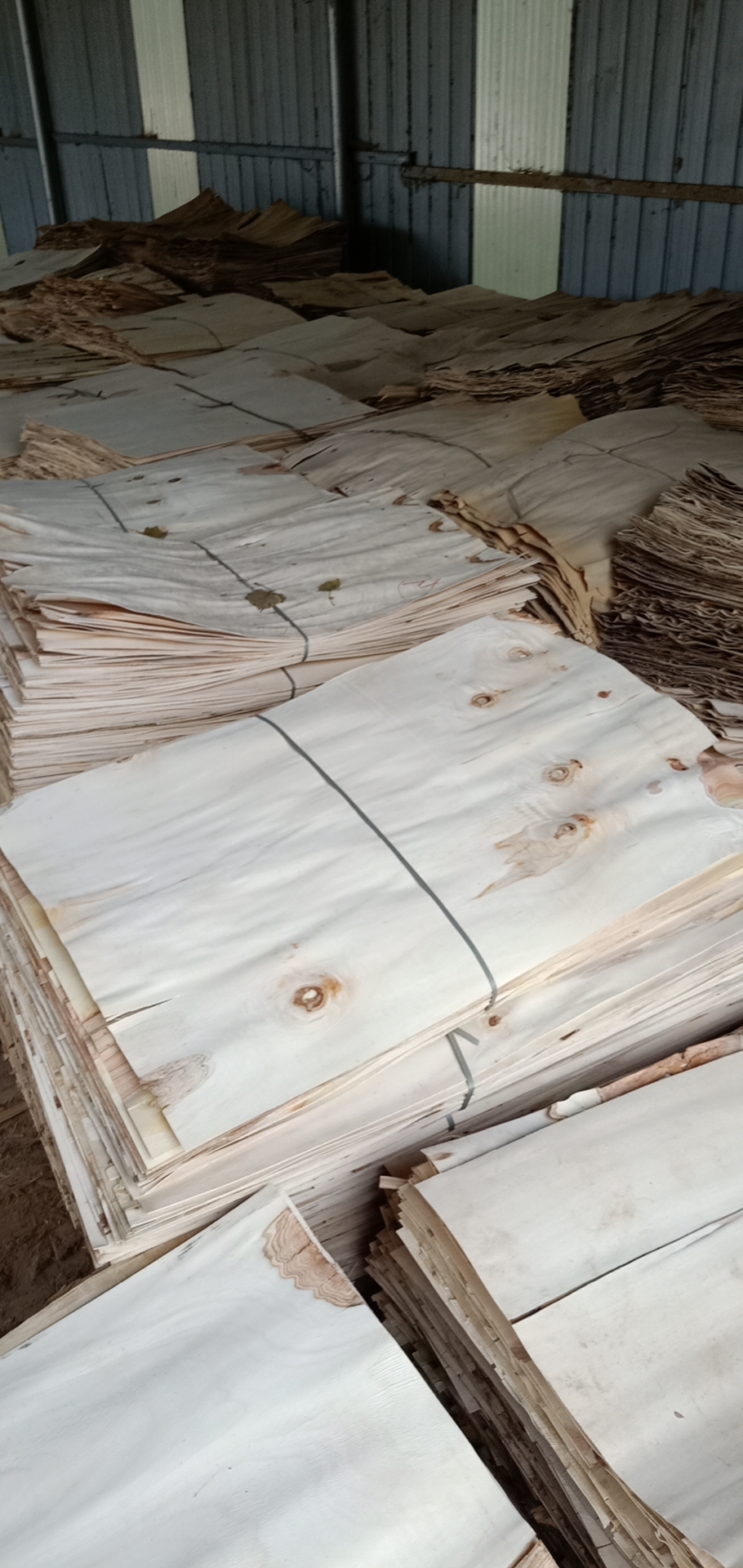 的詳細(xì)介紹