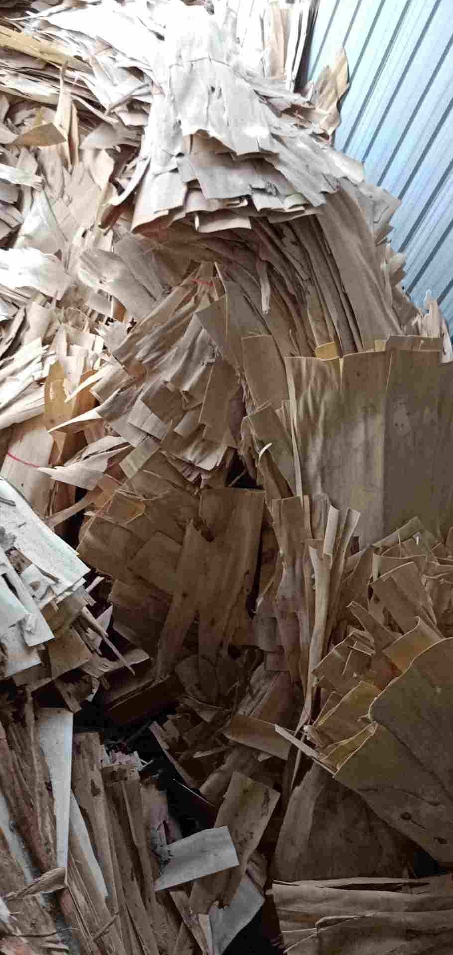 的詳細(xì)介紹